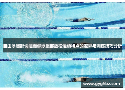 自由泳腿部快速而仰泳腿部放松运动特点的差异与训练技巧分析